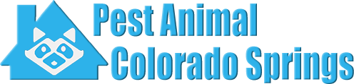 Colorado Springs Wildlife and Animal Removal